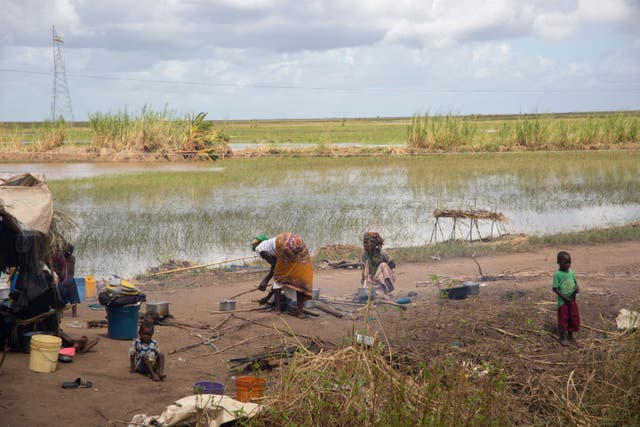 Mozambique Cyclone Freddy Cholera