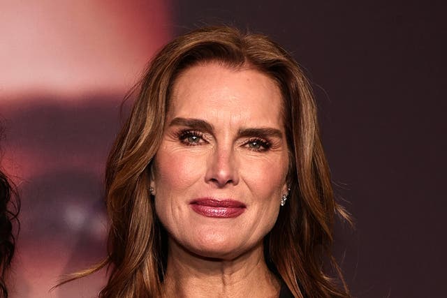 <p>Brooke Shields pictured on 29 March 2023</p>