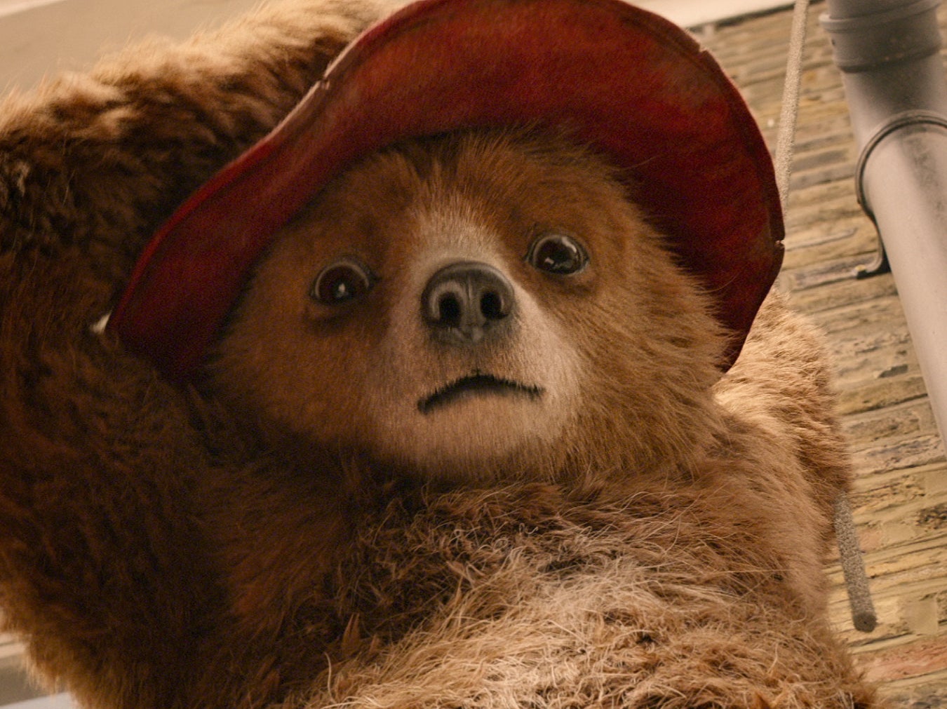 Paddington Bear, as seen in the 2017 film ‘Paddington 2'