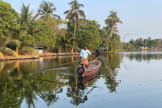 Climate India Salinity Impacts