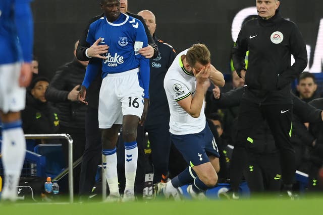 <p>Harry Kane fell to the floor after Abdoulaye Doucoure thrust his hand into the striker’s face </p>