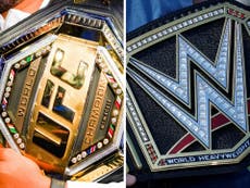 What does the UFC and WWE merger mean?