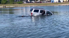 Elderly man and his dogs rescued from sinking car in Florida