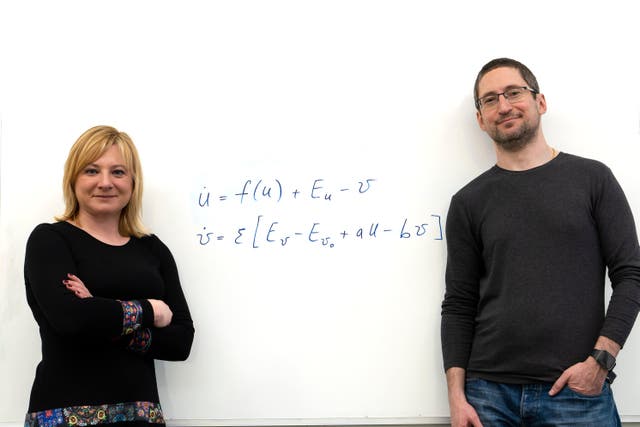 Mathematicians Yuliya Kyrychko and Konstantin Blyuss of the University of Sussex (University of Sussex)