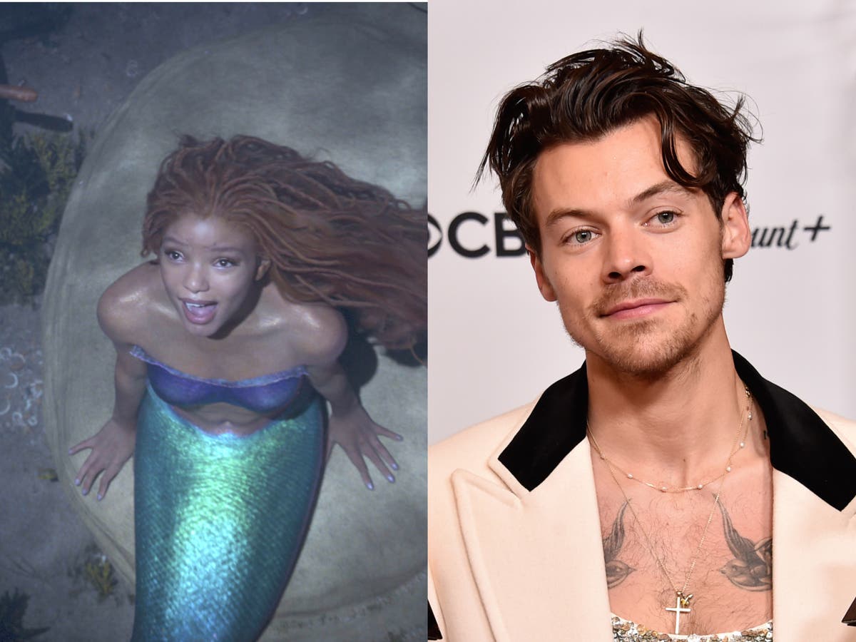 The Little Mermaid director says Harry Styles turned film down for ‘darker’ roles