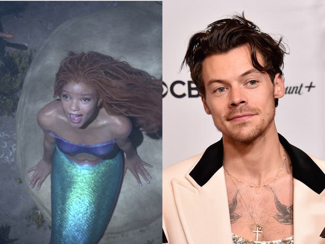 <p>Halle Bailey in ‘The Little Mermaid’</p>