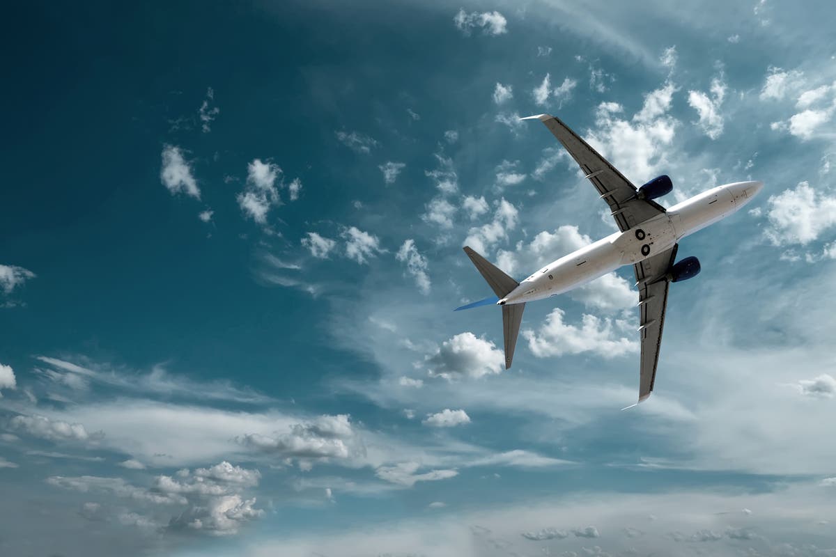 The role of partnerships in speeding up the airline industry’s retail transformation