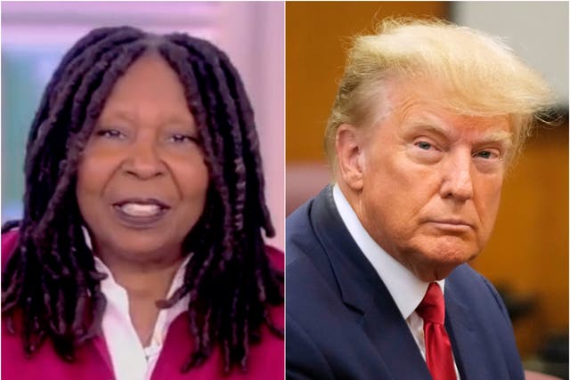 <p>Whoopi Goldberg lashes back at Donald Trump for a comment he made that “nobody” wants her </p>