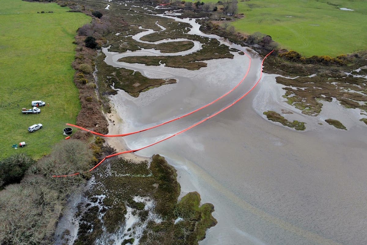 Warning over catching shellfish in Poole Harbour after oil leak