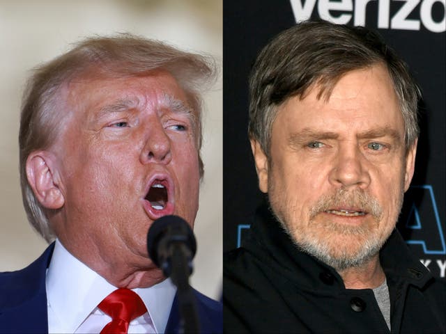 <p>Donald Trump and Mark Hamill</p>