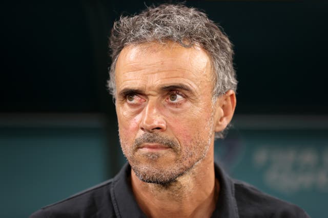 <p>The former Spain and Barcelona manager Luis Enrique</p>