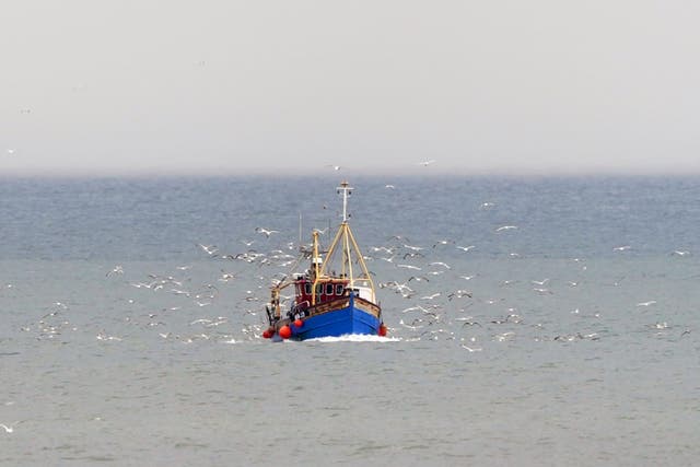 Overfishing between North Atlantic countries has caused mackerel populations to steadily decline since 2009 (Owen Humphrey/PA)