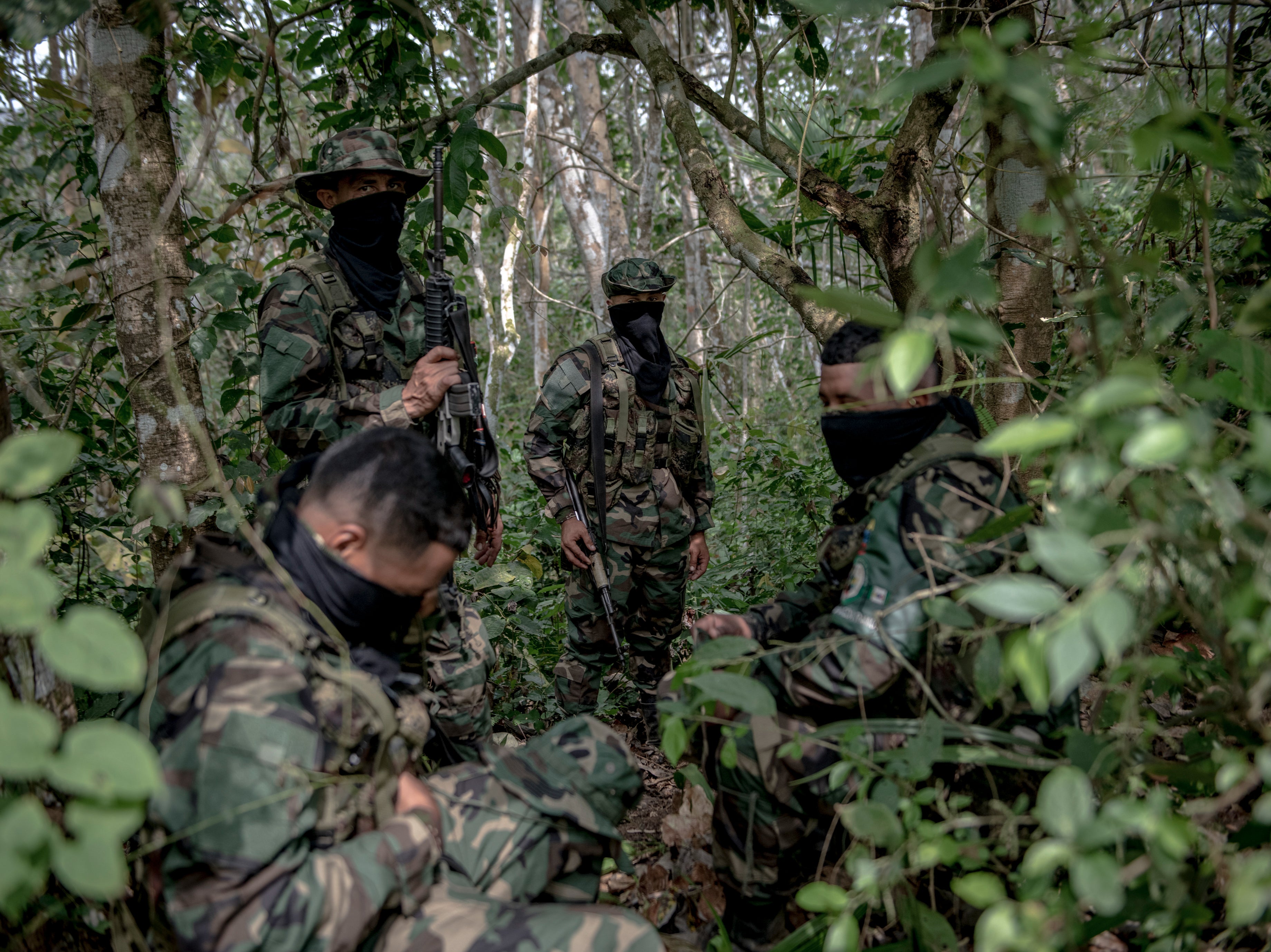 The AGC unit pauses in the forest during its patrol