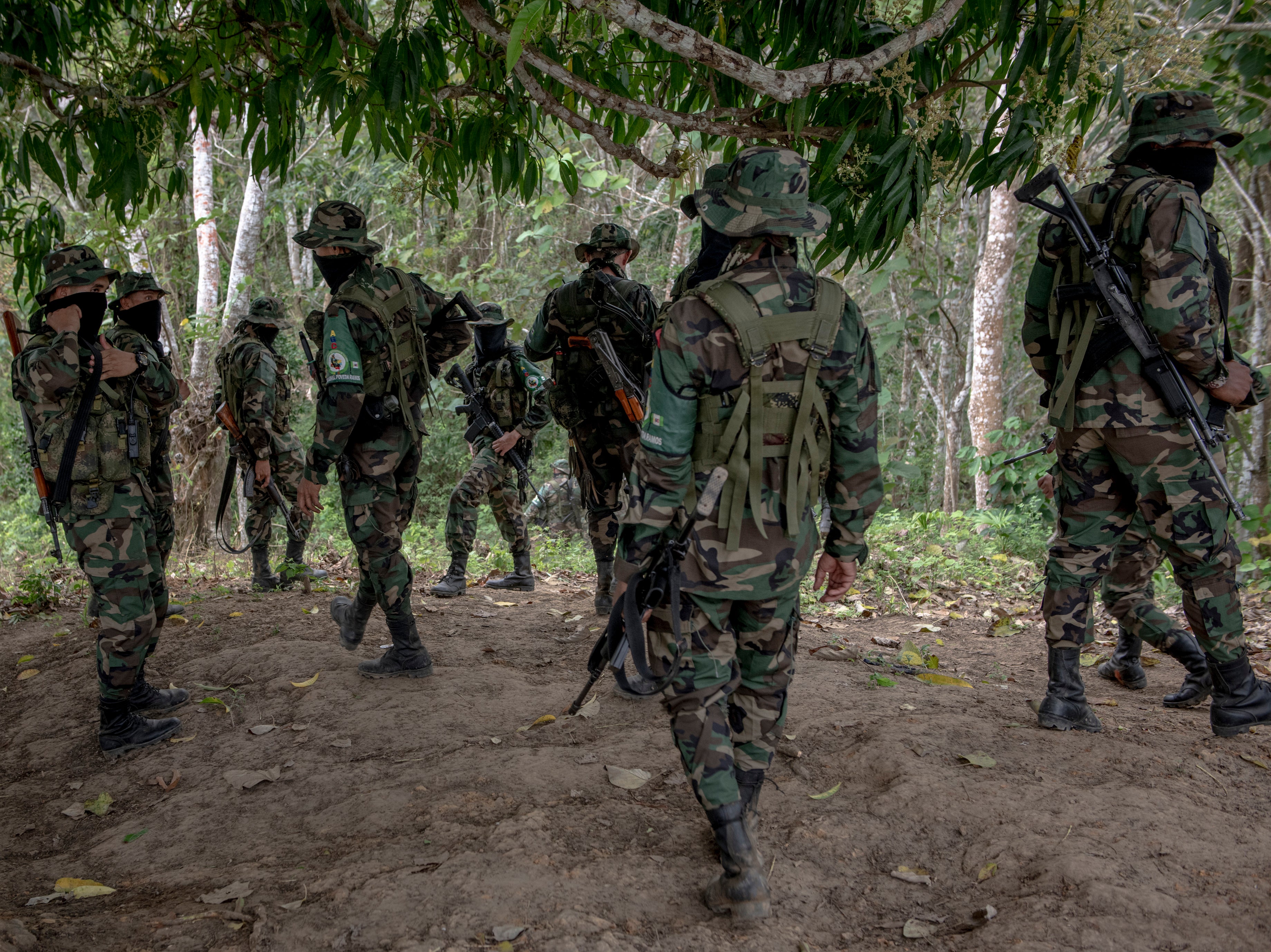 A unit of the AGC moves through the forest in rural Antioquia