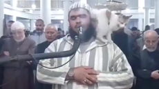 Cat jumps on Imam during live broadcast of Ramadan prayer in Algeria