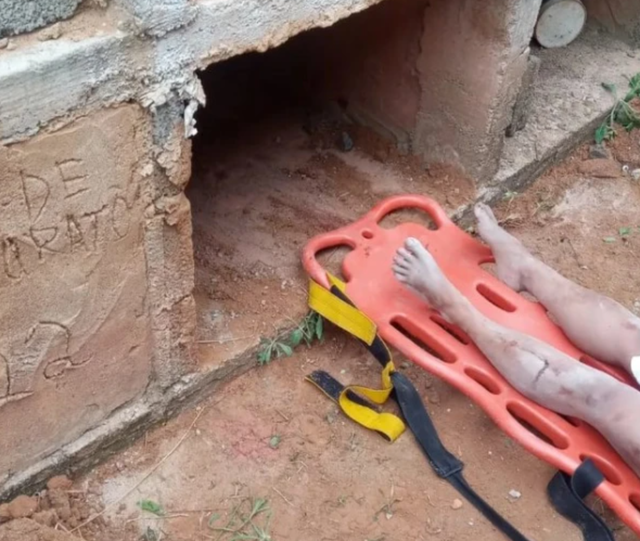 <p>The woman was found by gravediggers at Visconde do Rio Branco Municipal Cemetery</p>