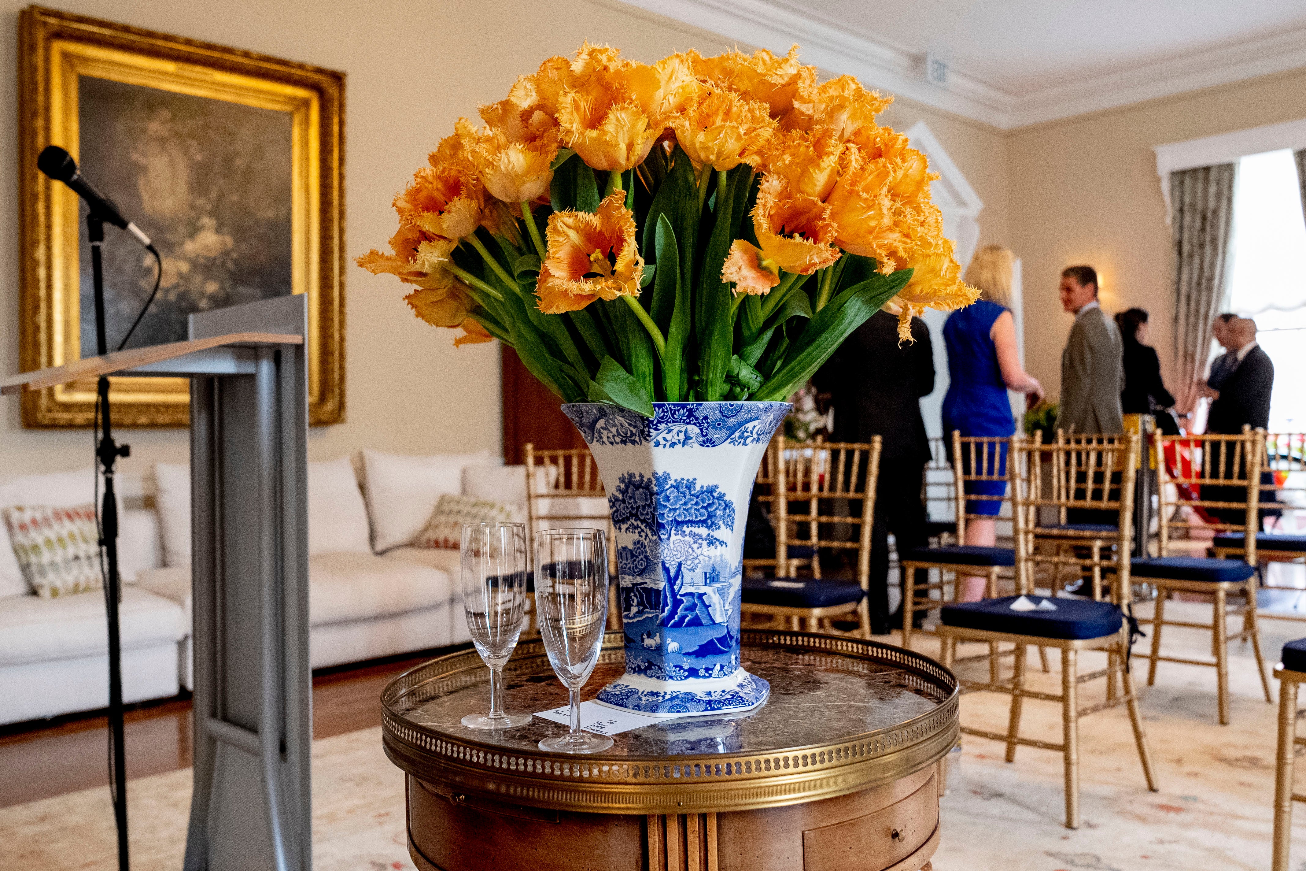 Jill Biden Dutch Tulip