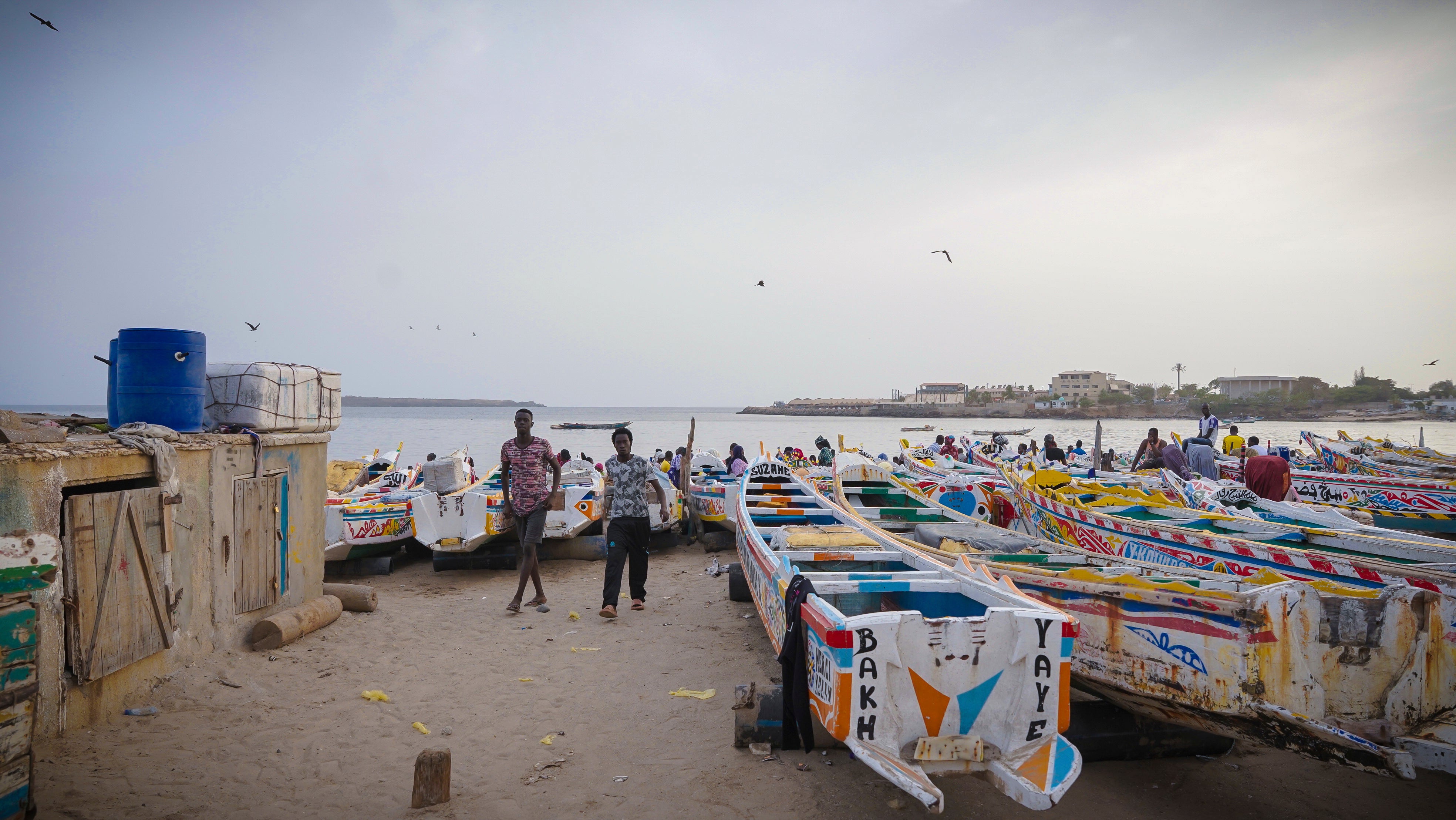 Ocean Fisheries Last Dish Senegal
