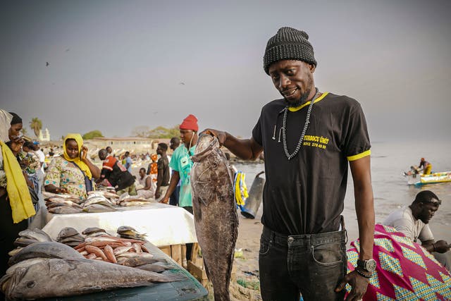 Ocean Fisheries Last Dish Senegal