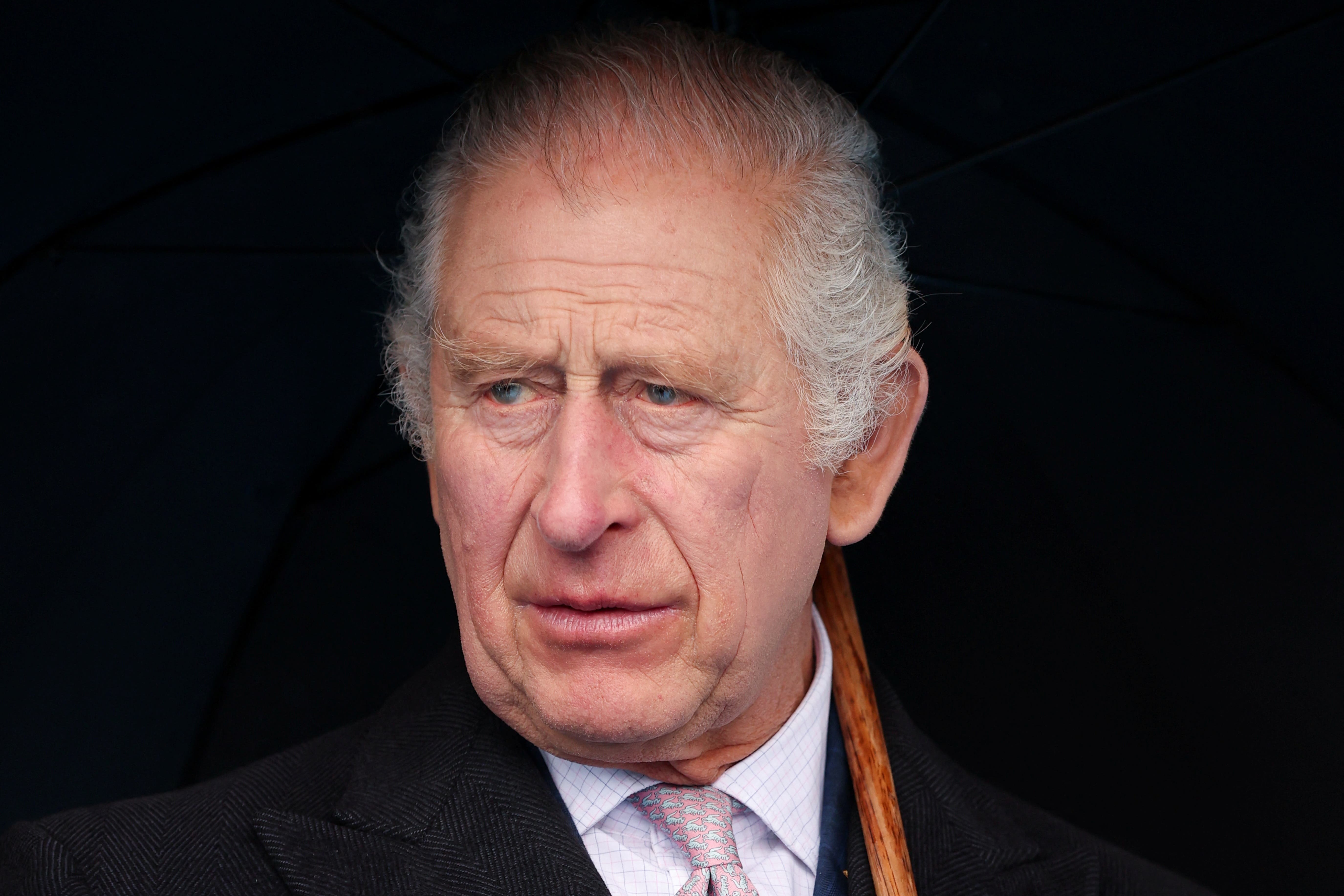 6 of the biggest claims about the royal family in new King Charles