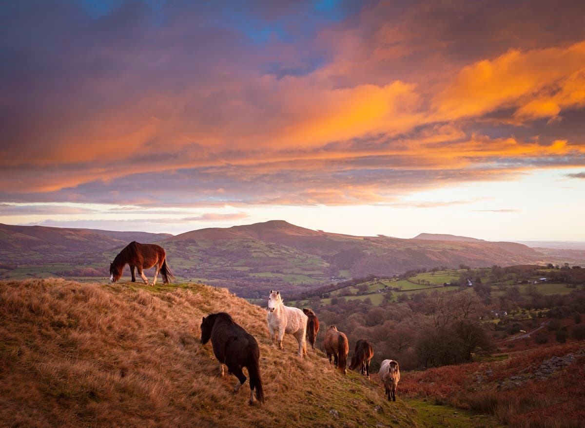 Why are we renaming the Brecon Beacons after a sex-mad Welshman?