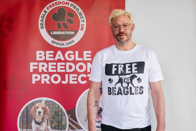 Will Young has put his name to an open letter from Beagle Freedom Project UK (Beagle Freedom Project UK/PA)