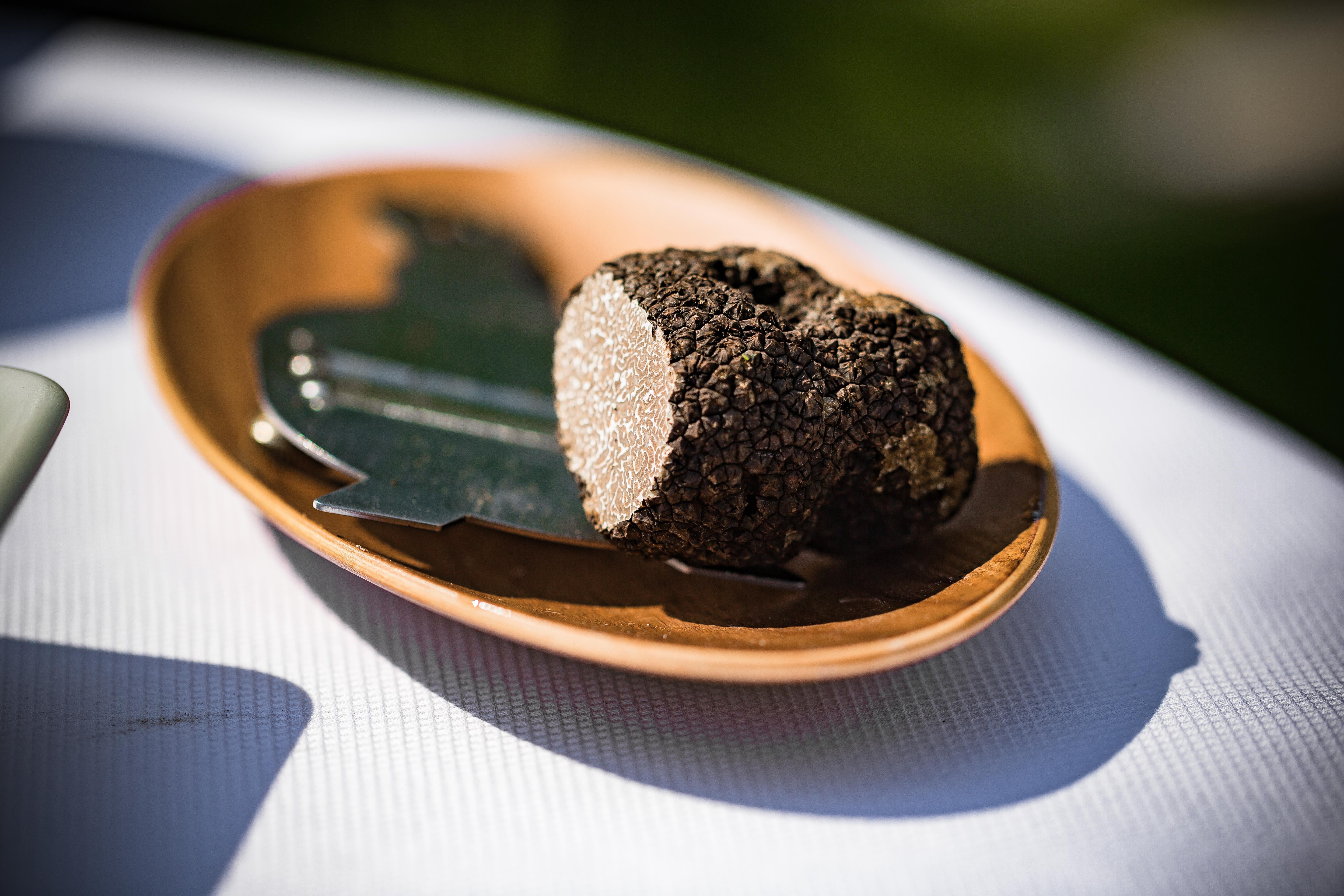 Truffle is the name of the game for any foodie visiting the Istrian peninsula