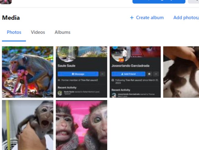 Screenshot of images used in a Facebook group
