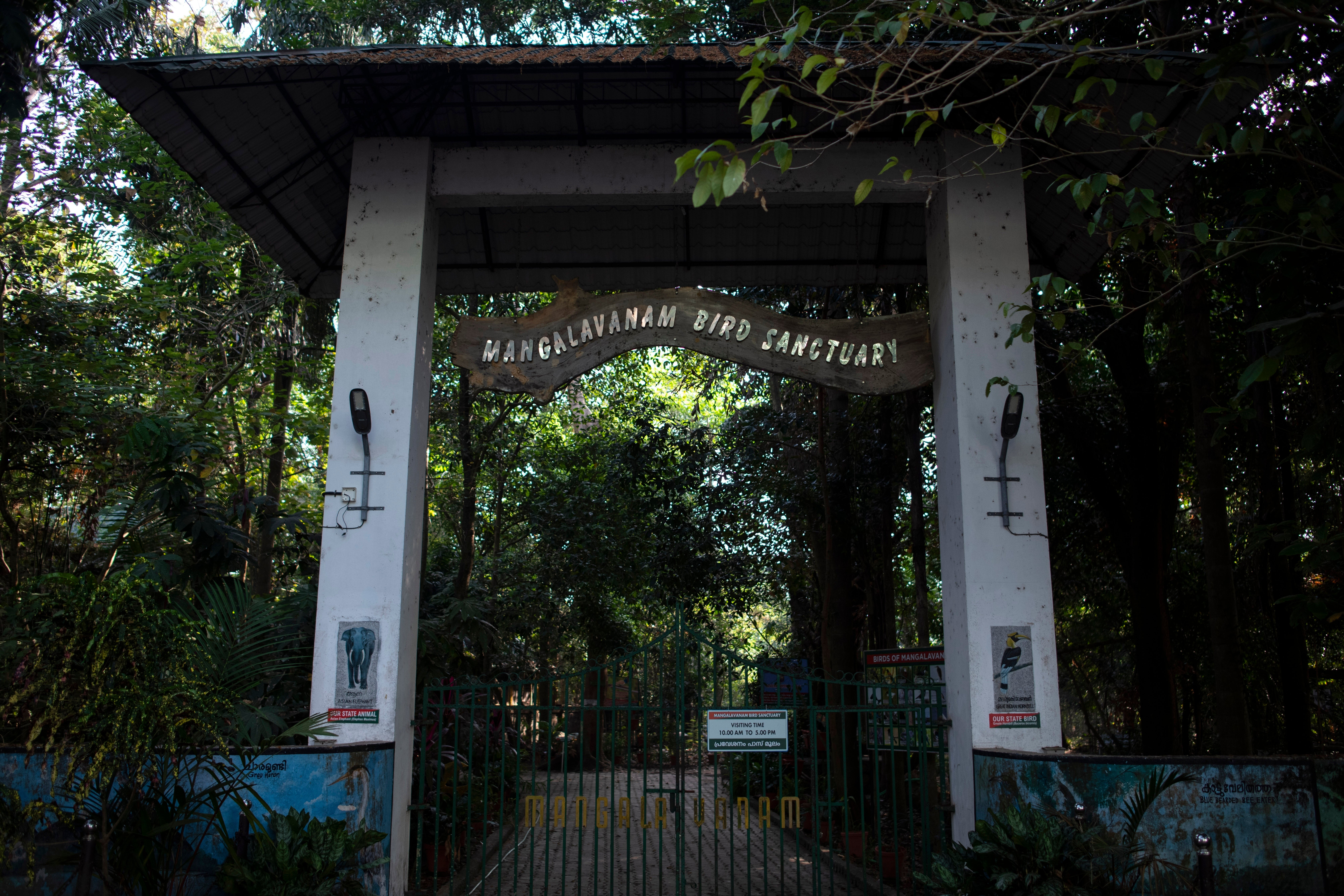 Climate India Mangrove Forests