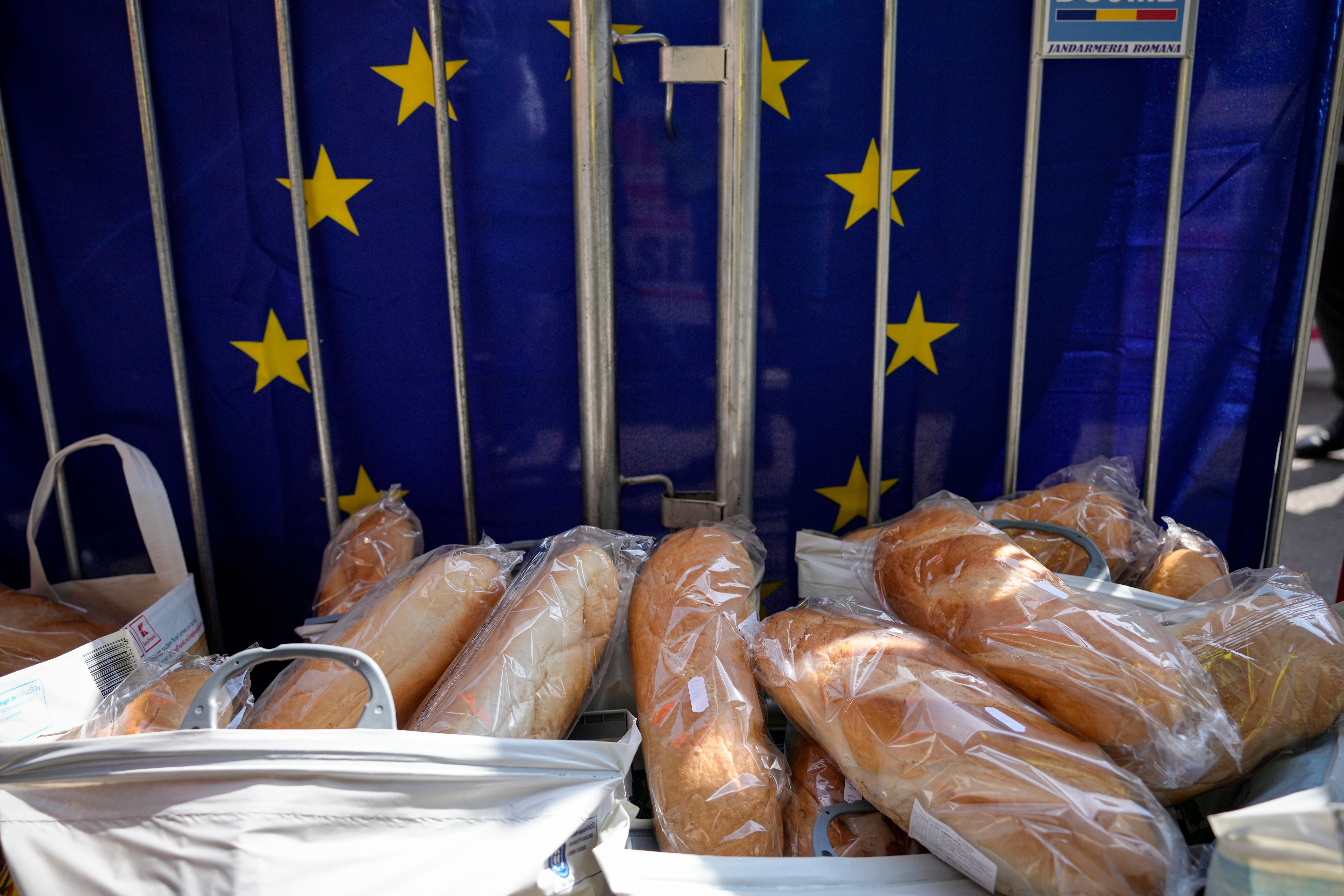 Romania Farmers Protest