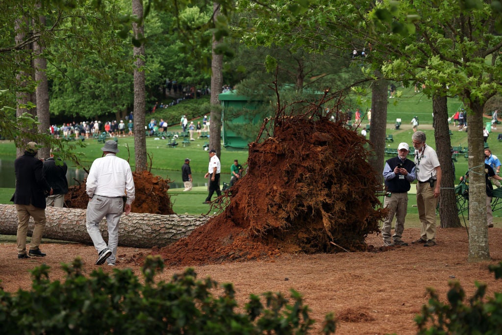A tree collapsed at the 17th green