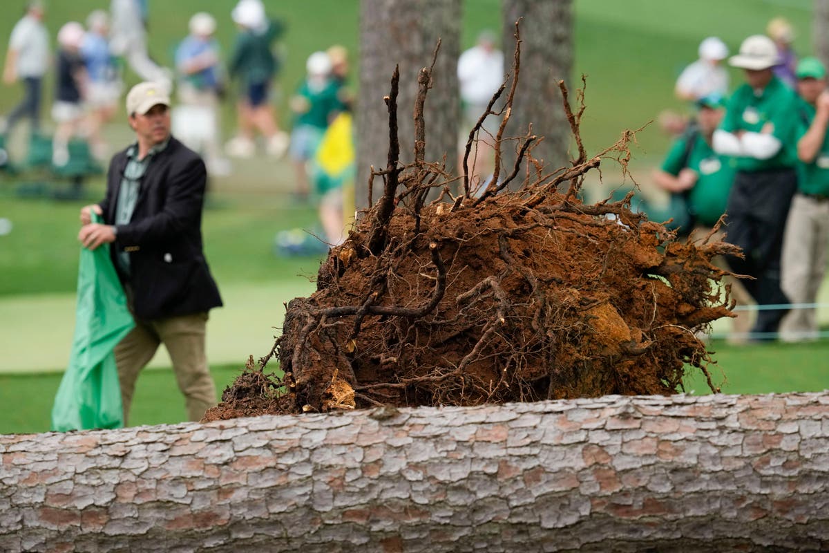 Masters suspended after pine trees fall down amid strong winds at Augusta