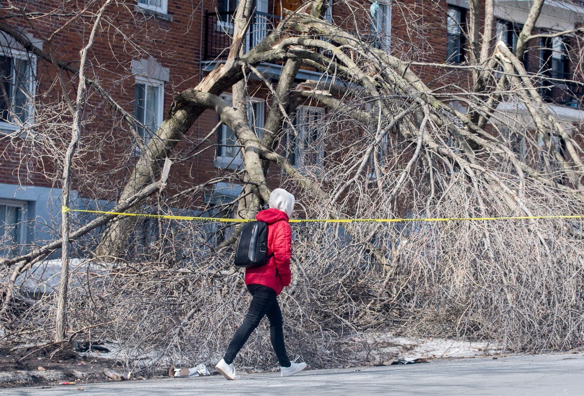 Hundreds of thousands still in dark from ice storm in Canada The
