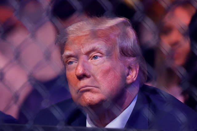 <p>Former US president Donald Trump is known to be friends with UFC president Dana White</p>