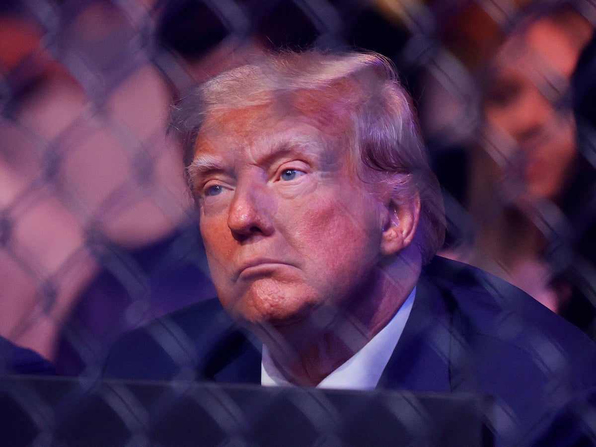 Watch: Crowd erupts as Donald Trump sits in front row at UFC 287 in Miami