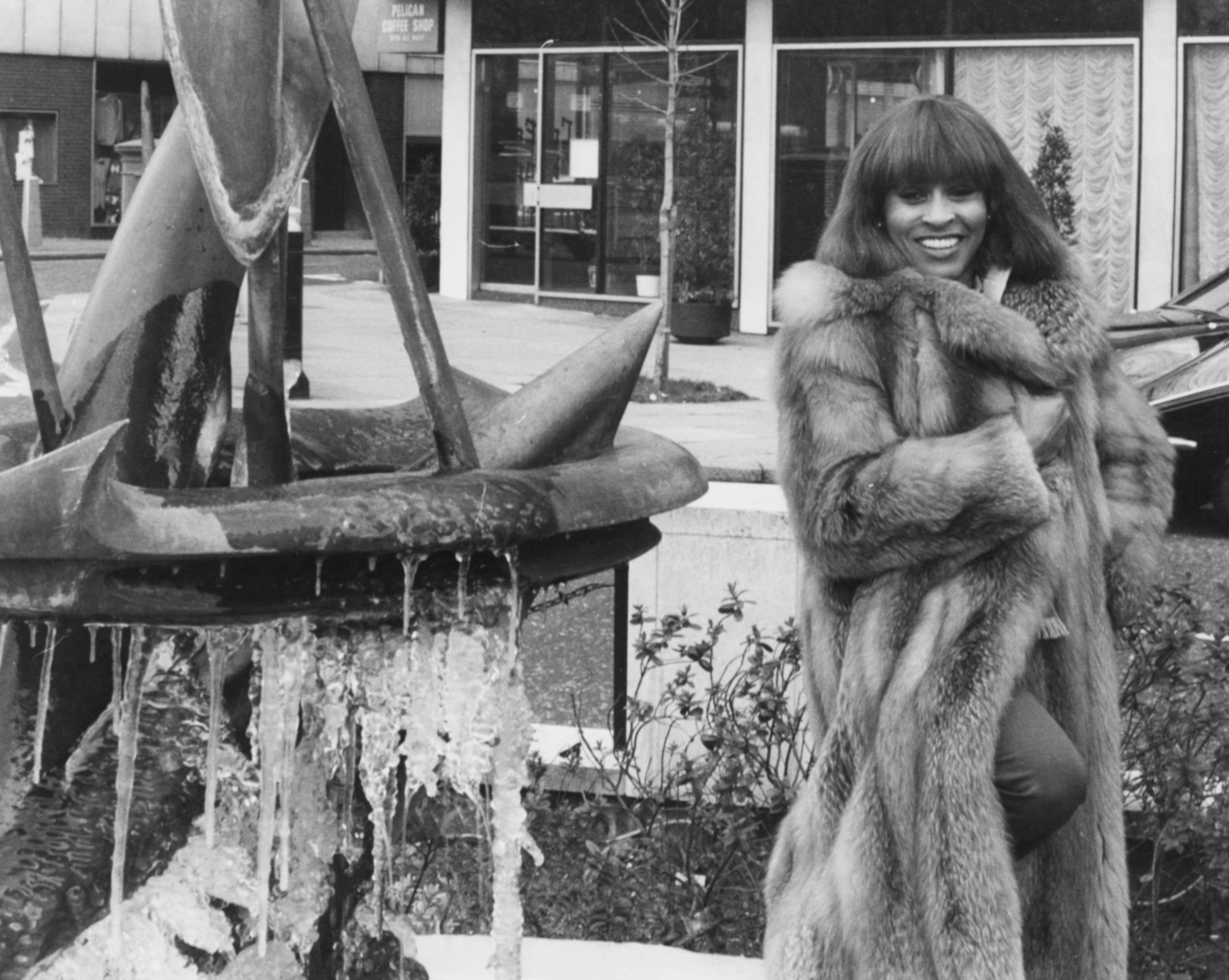 Singer Tina Turner wearing a fur coat as she poses next to a fountain in 1978