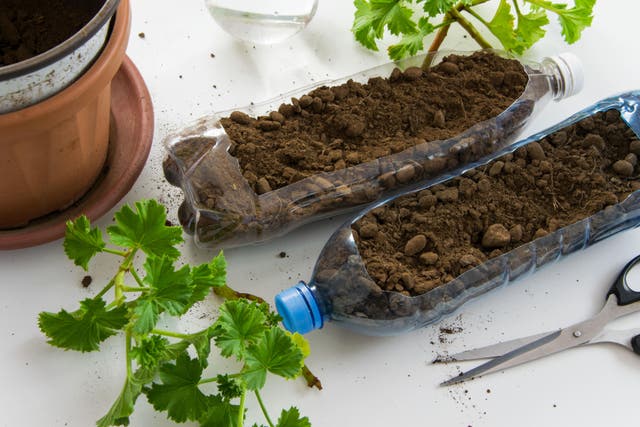 How to make your gardening a bit greener (Alamy/PA)