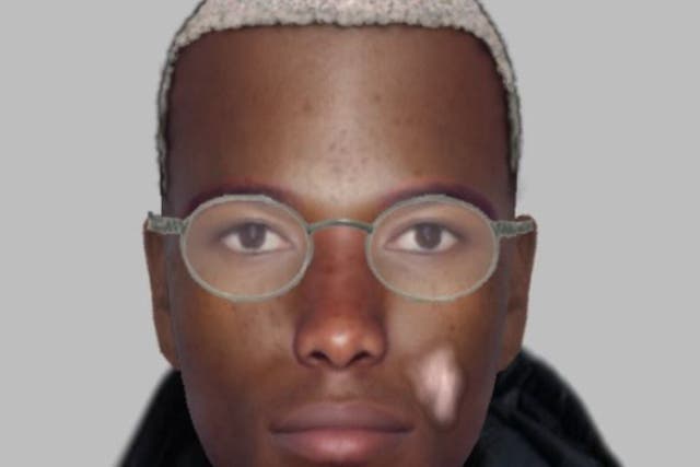 <p>Police have released an e-fit of the suspect</p>