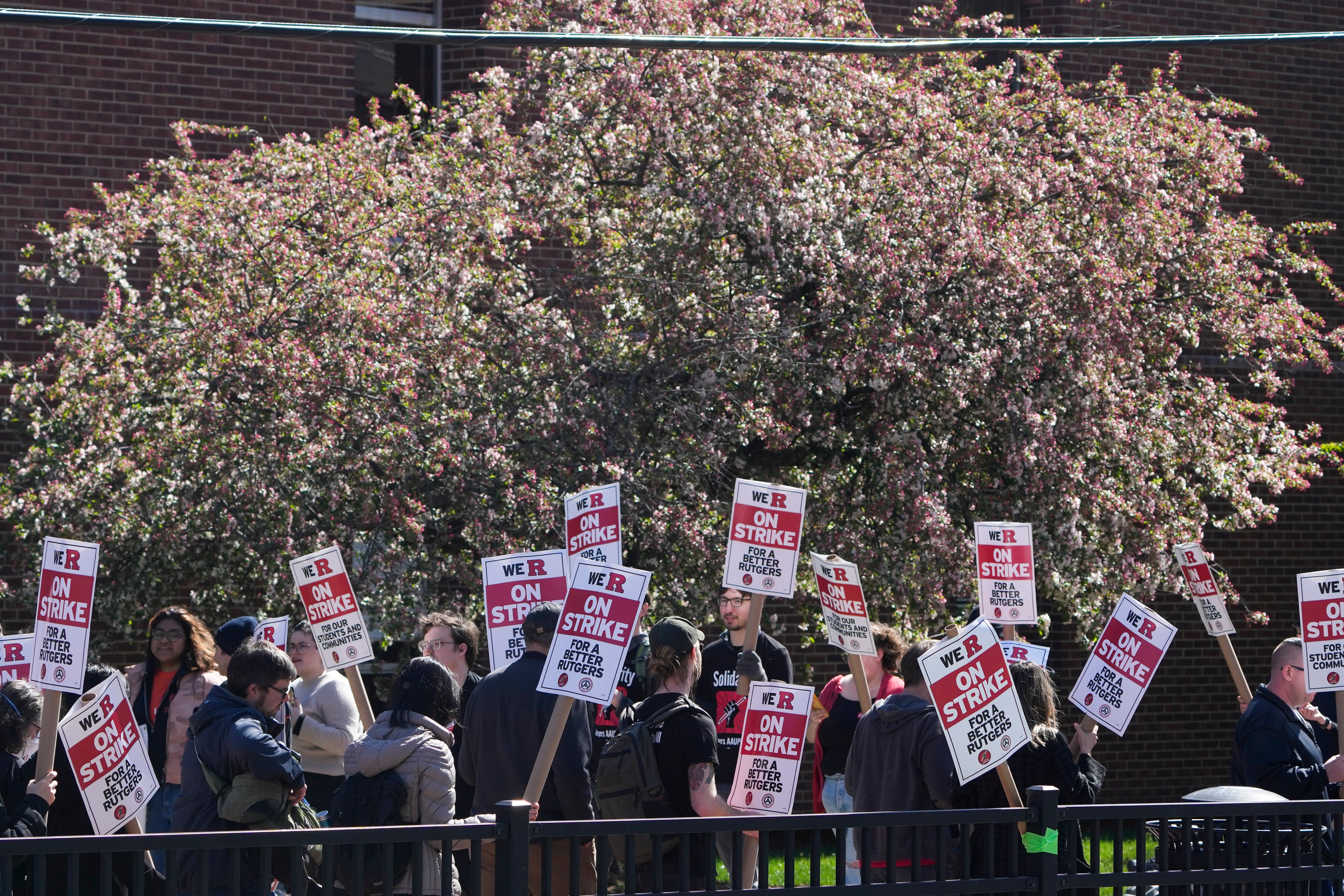 Rutgers Teachers Strike