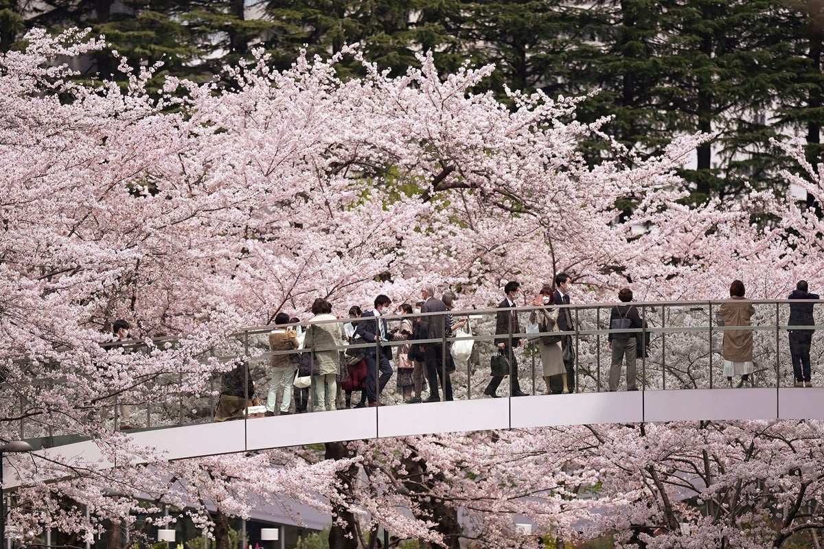 As summer heat looms, Japan urged to curb impact, emissions