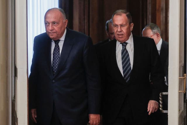 <p>Russian foreign minister Sergei Lavrov (right) and his Egyptian counterpart Sameh Shoukry enter a hall during their meeting in Moscow </p>