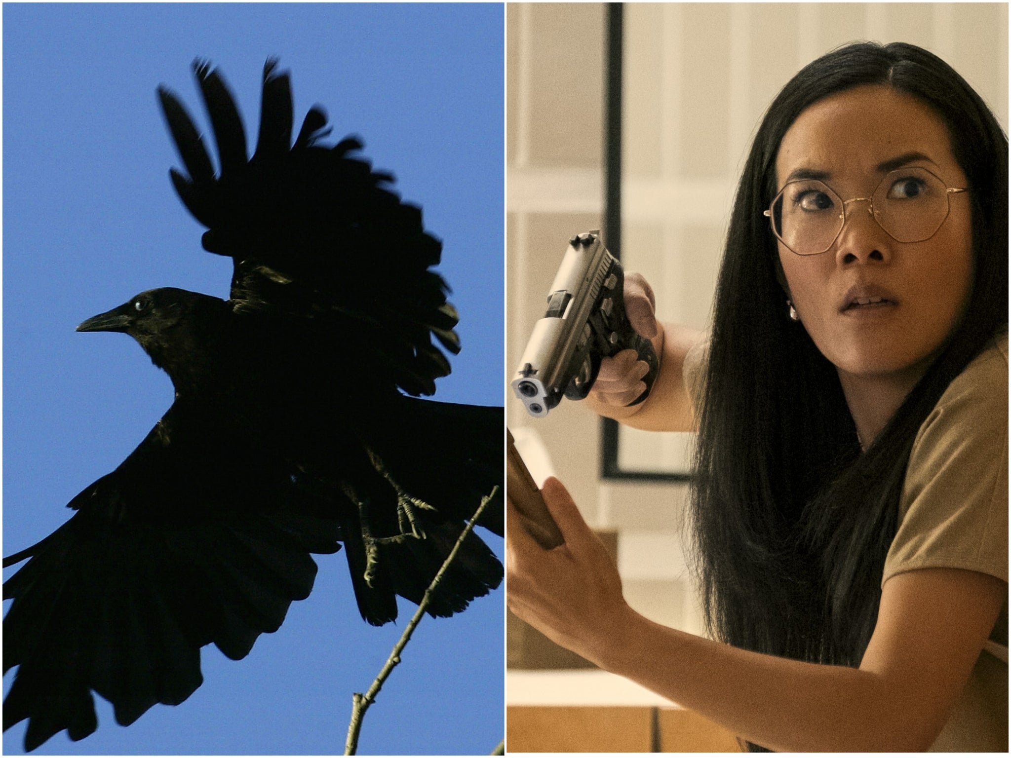 A crow and Ali Wong in ‘Beef’