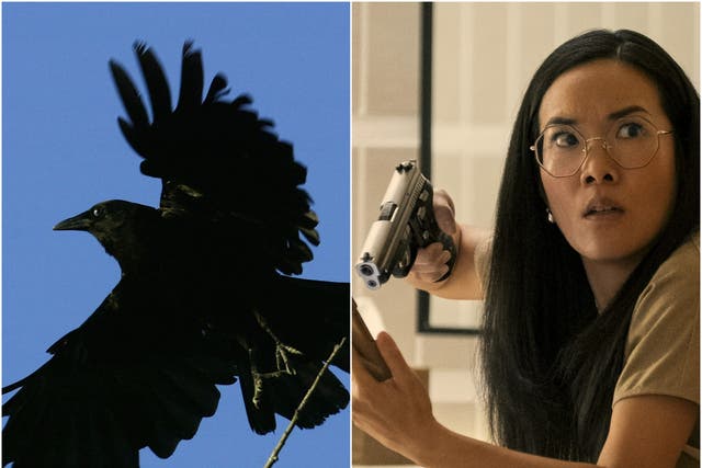 <p>A crow and Ali Wong in Beef</p>