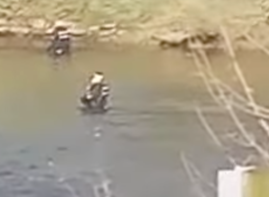 Police were filmed in the River Wyre last week