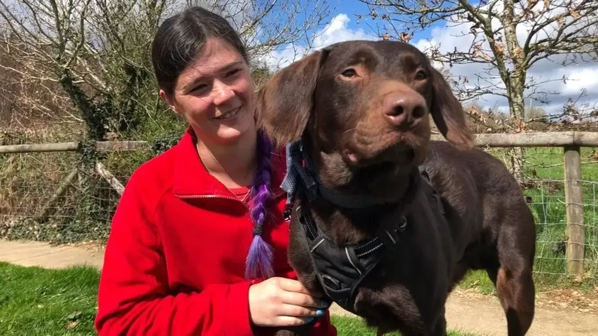 ‘Alcoholic’ dog sedated for four weeks as he goes cold turkey