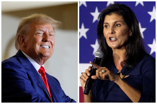<p>Nikki Haley’s campaign trolled Trump in a memo to donors </p>