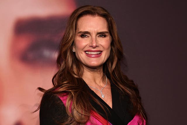 <p>Brooke Shields reveals she had seizure, and Bradley Cooper helped her</p>