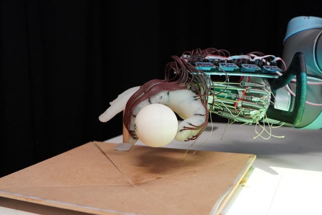 Researchers have designed a low-cost, energy-efficient robotic hand that can grasp a range of objects – and not drop them – using just the movement of its wrist and the feeling in its ‘skin’ (University Of Cambridge)