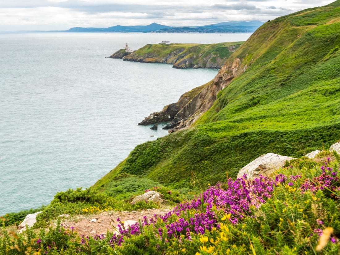 Try seal-spotting in Howth on the northern end of Dublin Bay