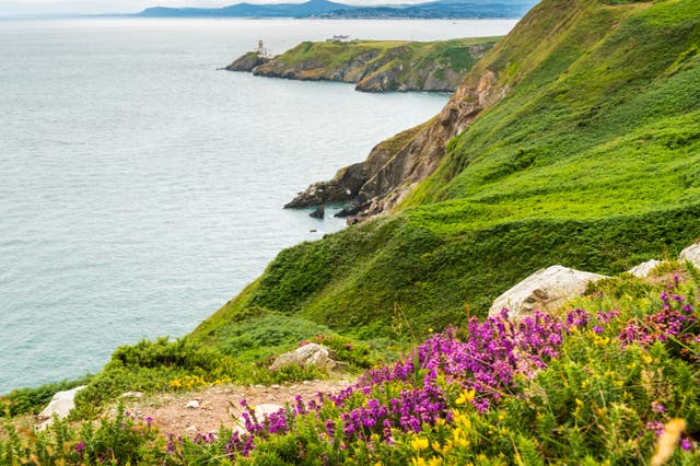 <p>Try seal-spotting in Howth on the northern end of Dublin Bay</p>